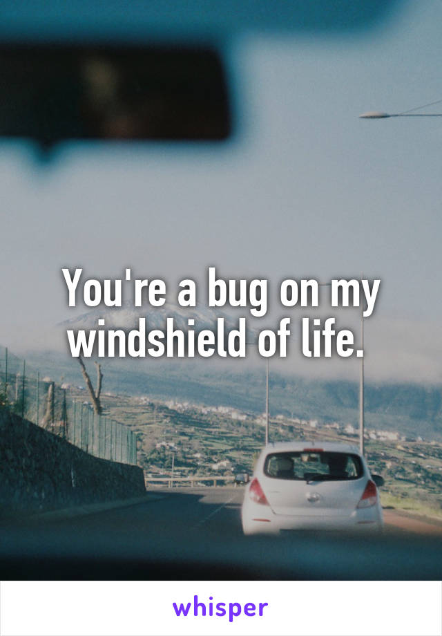 You're a bug on my windshield of life. 