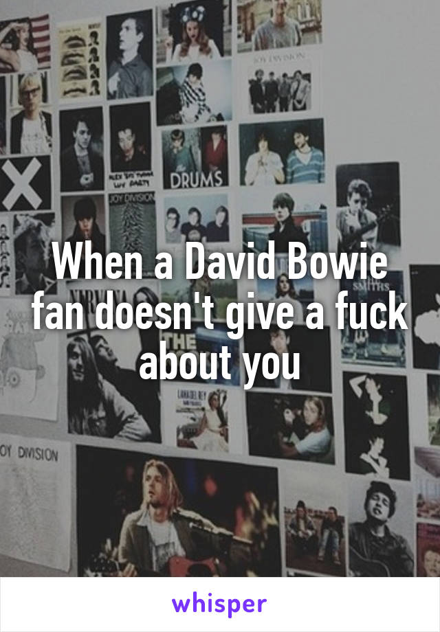 When a David Bowie fan doesn't give a fuck about you