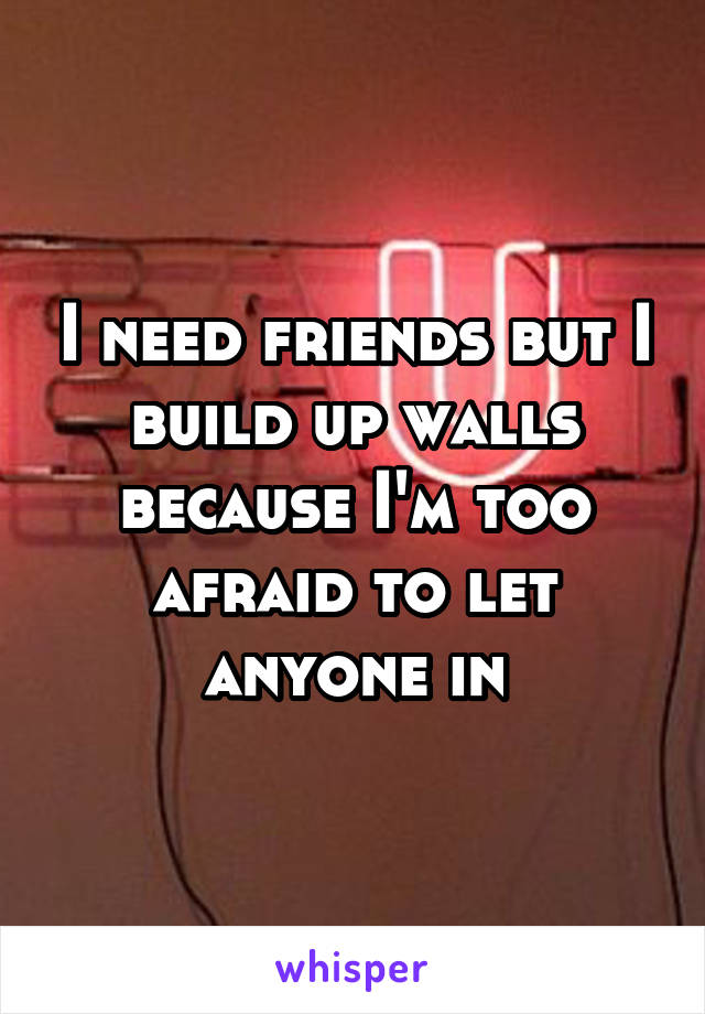 I need friends but I build up walls because I'm too afraid to let anyone in