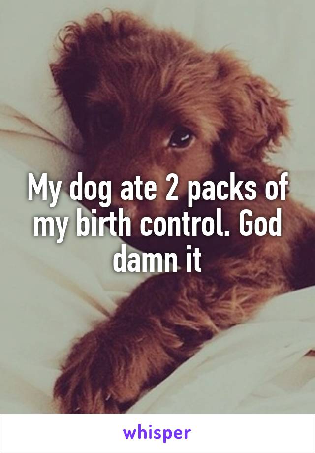 My dog ate 2 packs of my birth control. God damn it