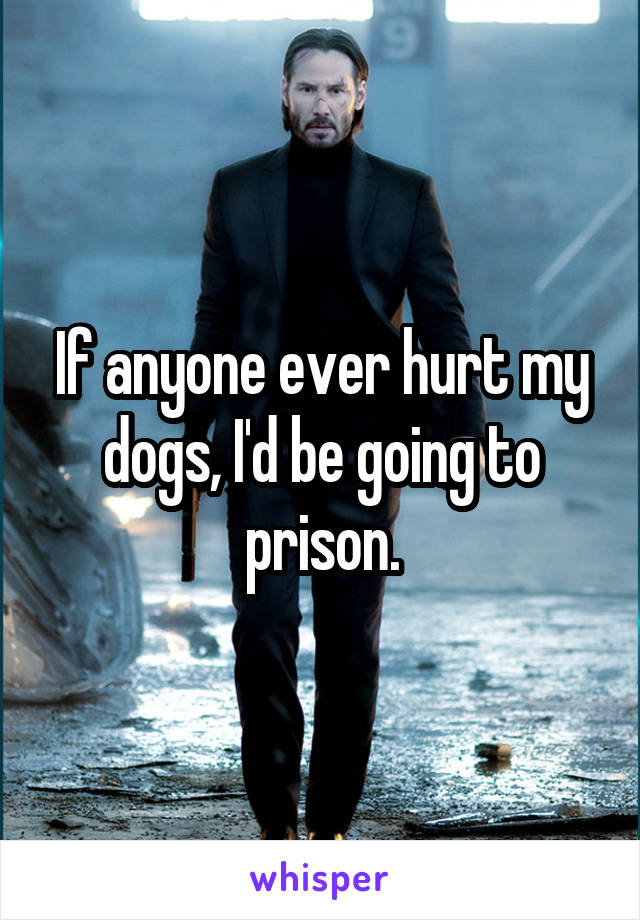 If anyone ever hurt my dogs, I'd be going to prison.