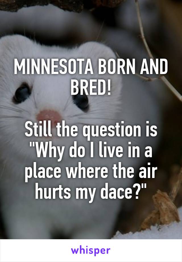 MINNESOTA BORN AND BRED!

Still the question is "Why do I live in a place where the air hurts my dace?"