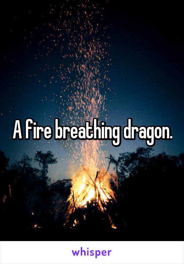 A fire breathing dragon.