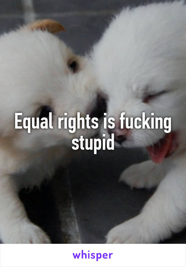 Equal rights is fucking stupid