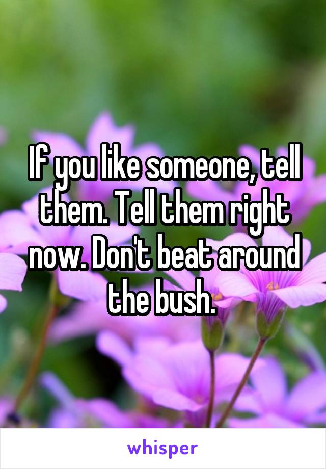 If you like someone, tell them. Tell them right now. Don't beat around the bush. 