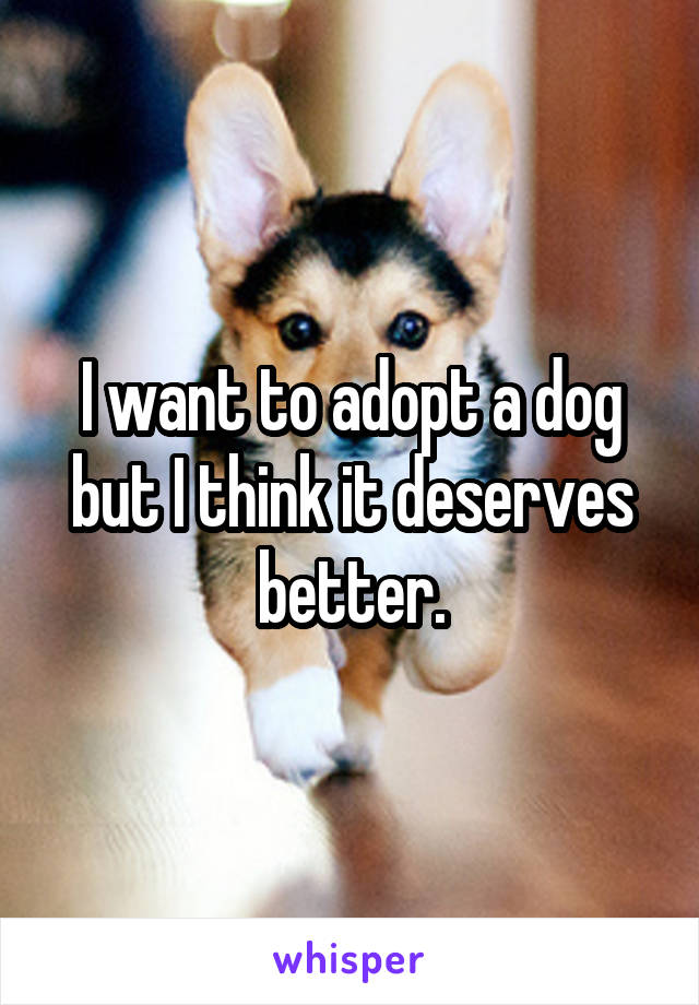 I want to adopt a dog but I think it deserves better.