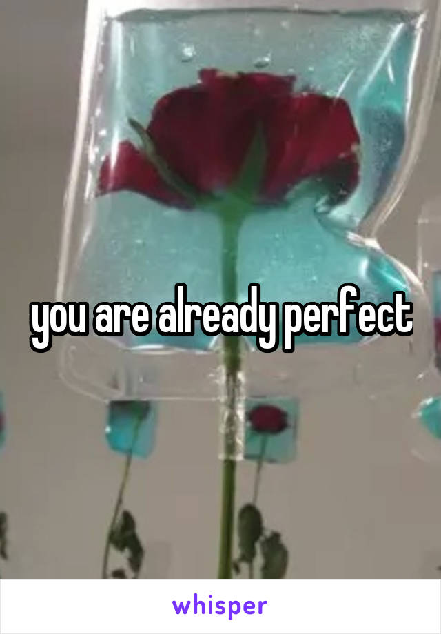 you are already perfect