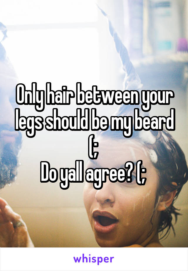 Only hair between your legs should be my beard (; 
Do yall agree? (; 