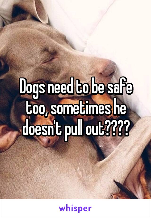 Dogs need to be safe too, sometimes he doesn't pull out😂😂😂😂