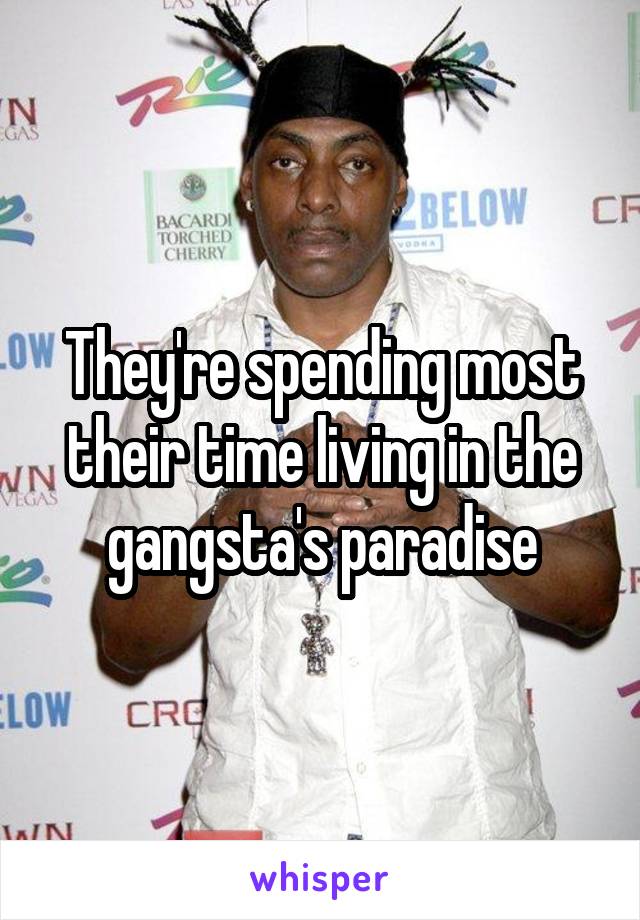 They're spending most
their time living in the
gangsta's paradise
