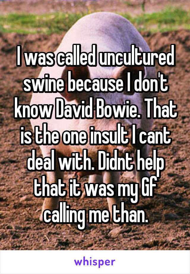 I was called uncultured swine because I don't know David Bowie. That is the one insult I cant deal with. Didnt help that it was my Gf calling me than.