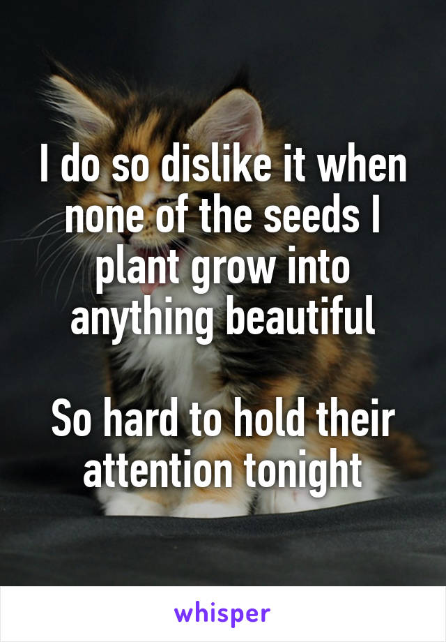 I do so dislike it when none of the seeds I plant grow into anything beautiful

So hard to hold their attention tonight