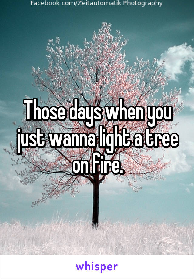 Those days when you just wanna light a tree on fire.