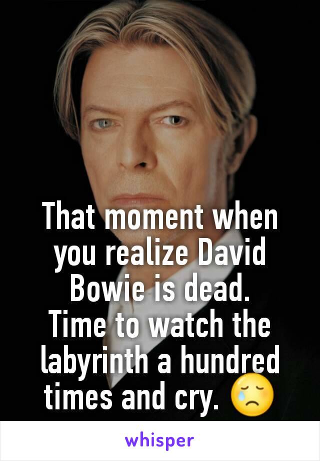 That moment when you realize David Bowie is dead.
Time to watch the labyrinth a hundred times and cry. 😢