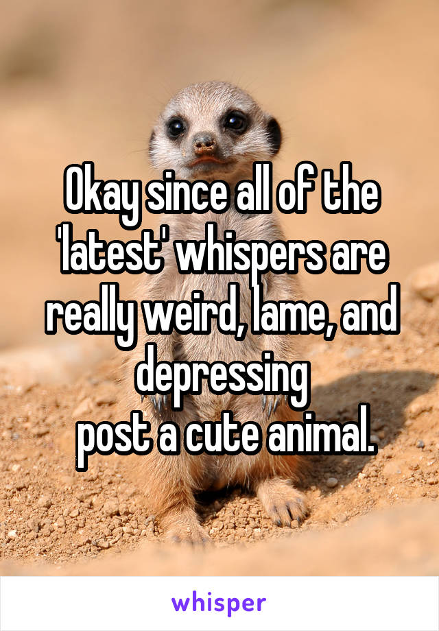 Okay since all of the 'latest' whispers are really weird, lame, and depressing
 post a cute animal.