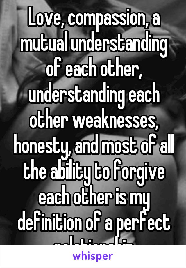 Love, compassion, a mutual understanding of each other, understanding each other weaknesses, honesty, and most of all the ability to forgive each other is my definition of a perfect relationship