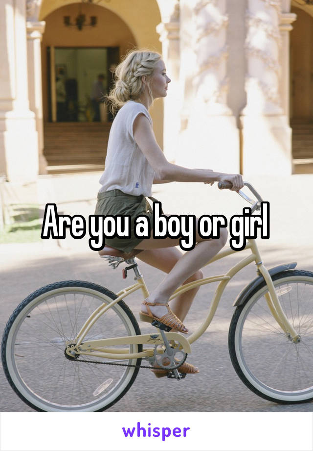 Are you a boy or girl 