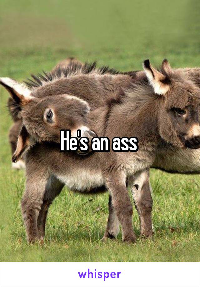 He's an ass 