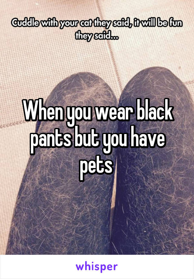 When you wear black pants but you have pets 