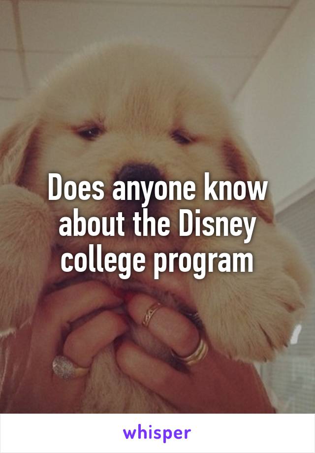 Does anyone know about the Disney college program