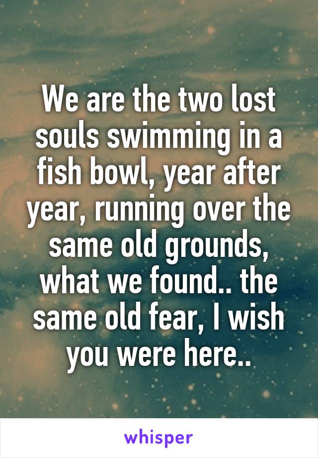 We are the two lost souls swimming in a fish bowl, year after year, running over the same old grounds, what we found.. the same old fear, I wish you were here..