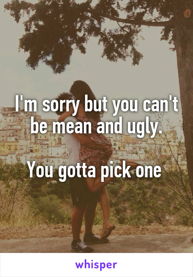 I'm sorry but you can't be mean and ugly.

You gotta pick one 
