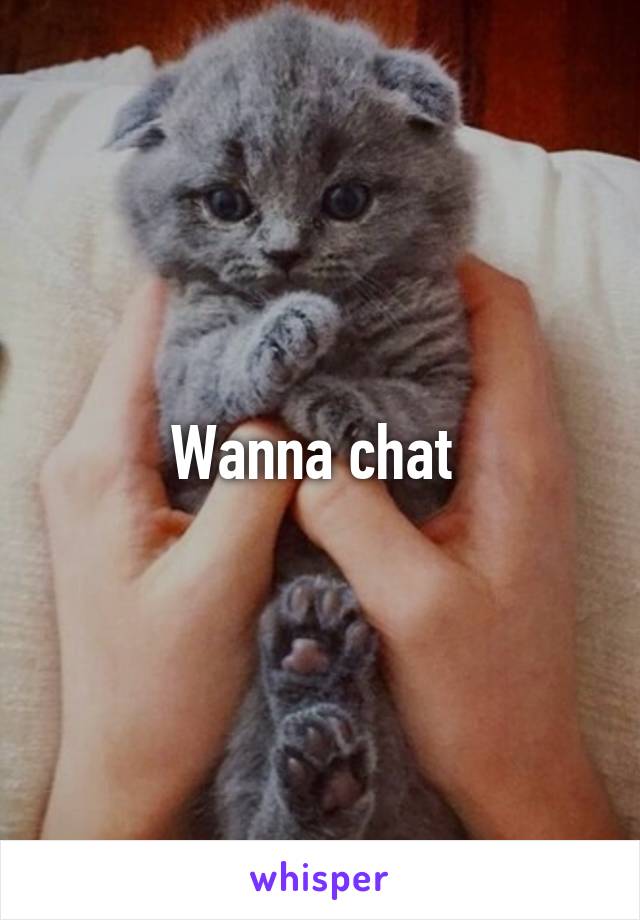 Wanna chat 