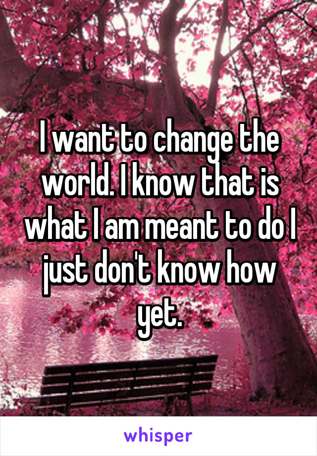 I want to change the world. I know that is what I am meant to do I just don't know how yet.