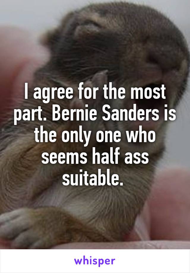 I agree for the most part. Bernie Sanders is the only one who seems half ass suitable. 