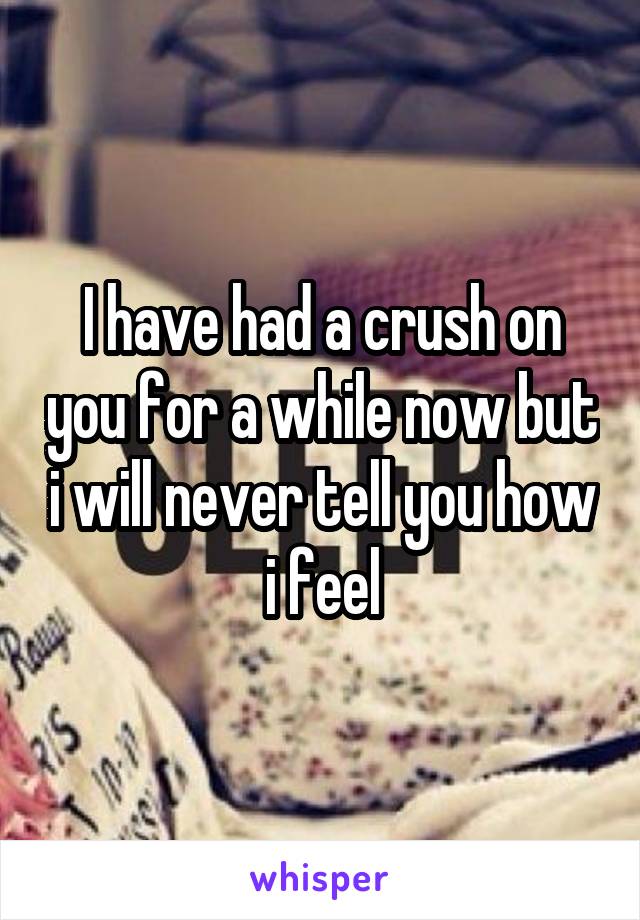 I have had a crush on you for a while now but i will never tell you how i feel