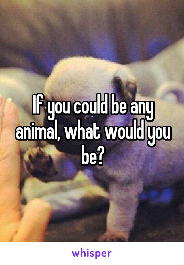 If you could be any animal, what would you be?