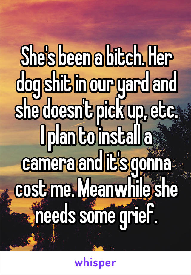 She's been a bitch. Her dog shit in our yard and she doesn't pick up, etc. I plan to install a camera and it's gonna cost me. Meanwhile she needs some grief.