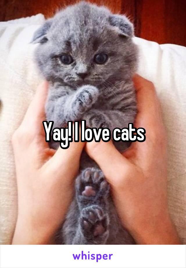 Yay! I love cats
