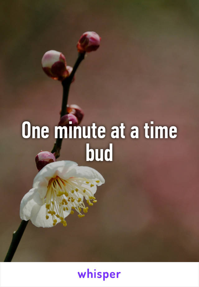One minute at a time bud