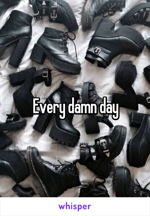 Every damn day