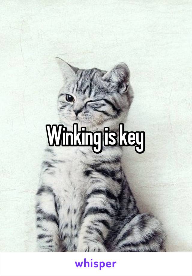 Winking is key 