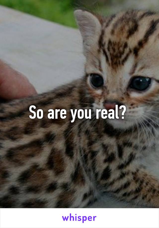 So are you real? 