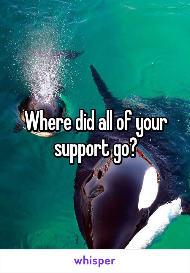 Where did all of your support go?
