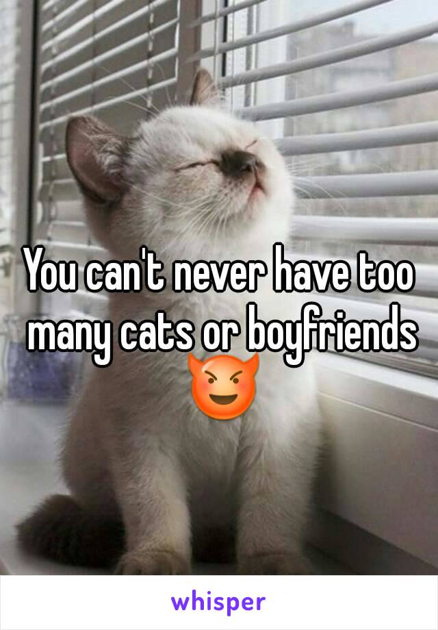 You can't never have too many cats or boyfriends 😈