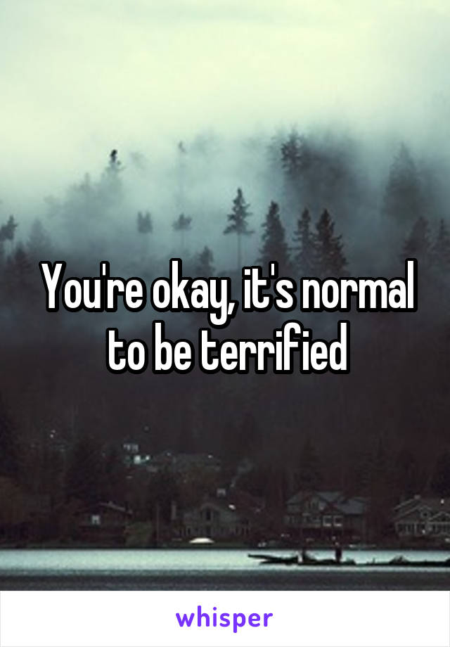 You're okay, it's normal to be terrified