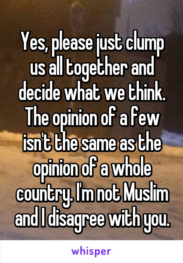 Yes, please just clump us all together and decide what we think. The opinion of a few isn't the same as the opinion of a whole country. I'm not Muslim and I disagree with you.