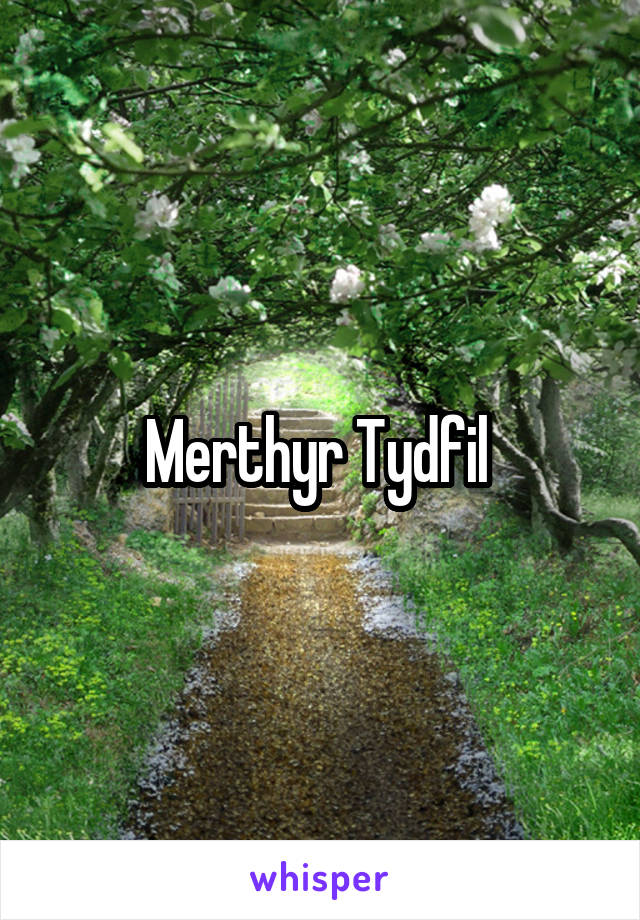 Merthyr Tydfil 