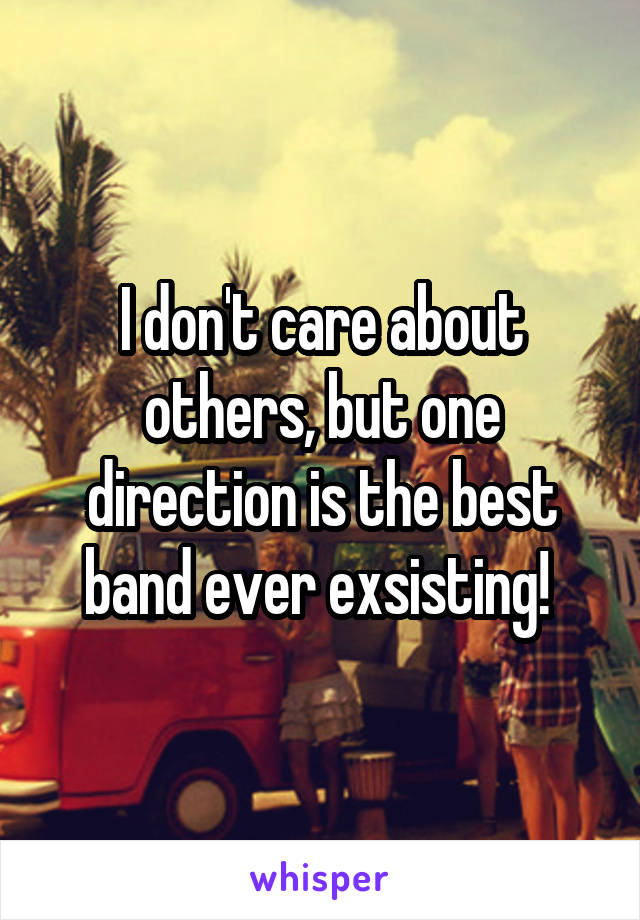 I don't care about others, but one direction is the best band ever exsisting! 