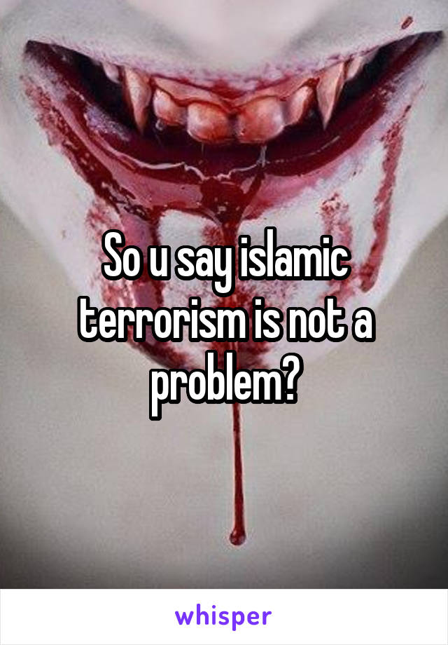So u say islamic terrorism is not a problem?