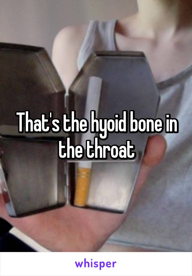 That's the hyoid bone in the throat