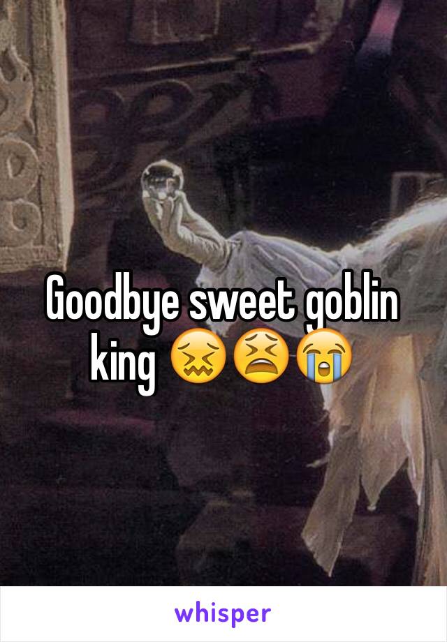 Goodbye sweet goblin king 😖😫😭