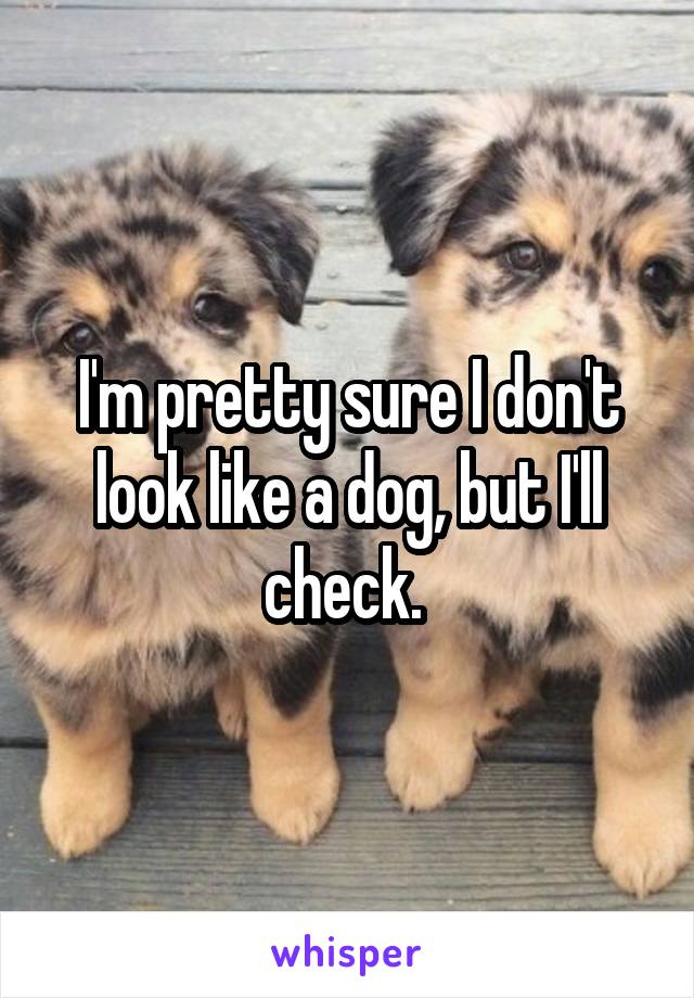 I'm pretty sure I don't look like a dog, but I'll check. 