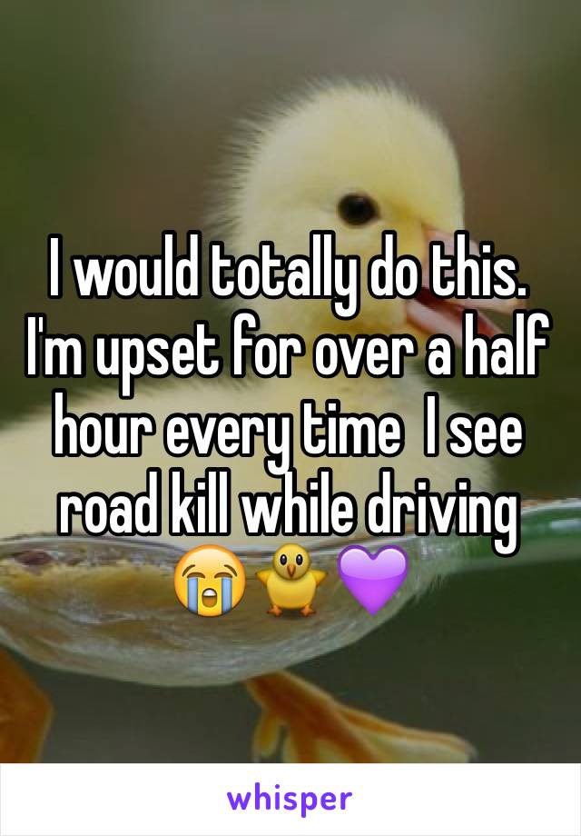 I would totally do this. I'm upset for over a half hour every time  I see road kill while driving 😭🐥💜