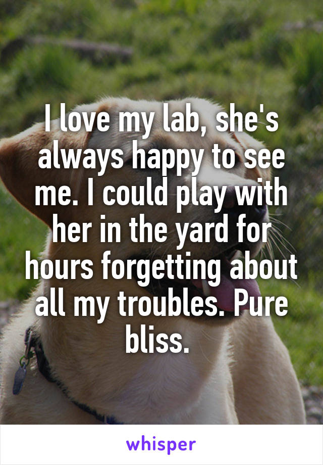 I love my lab, she's always happy to see me. I could play with her in the yard for hours forgetting about all my troubles. Pure bliss. 