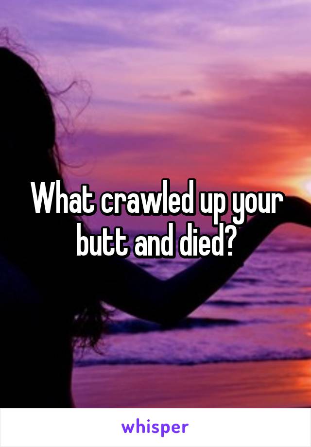 What crawled up your butt and died?